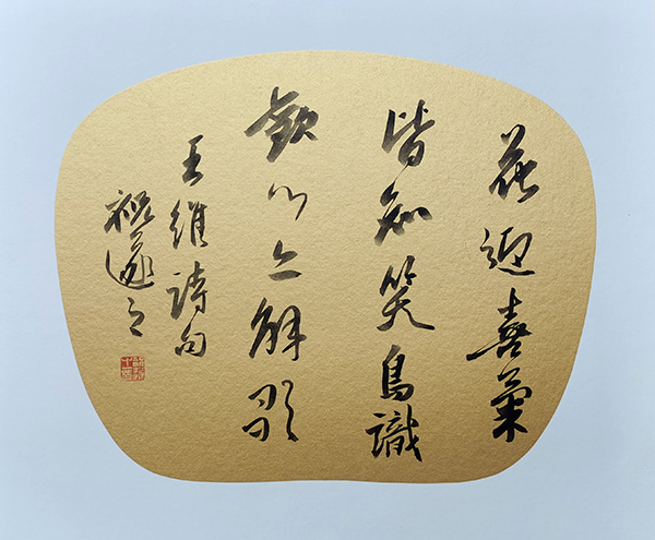 49.jpg 49.jpg
